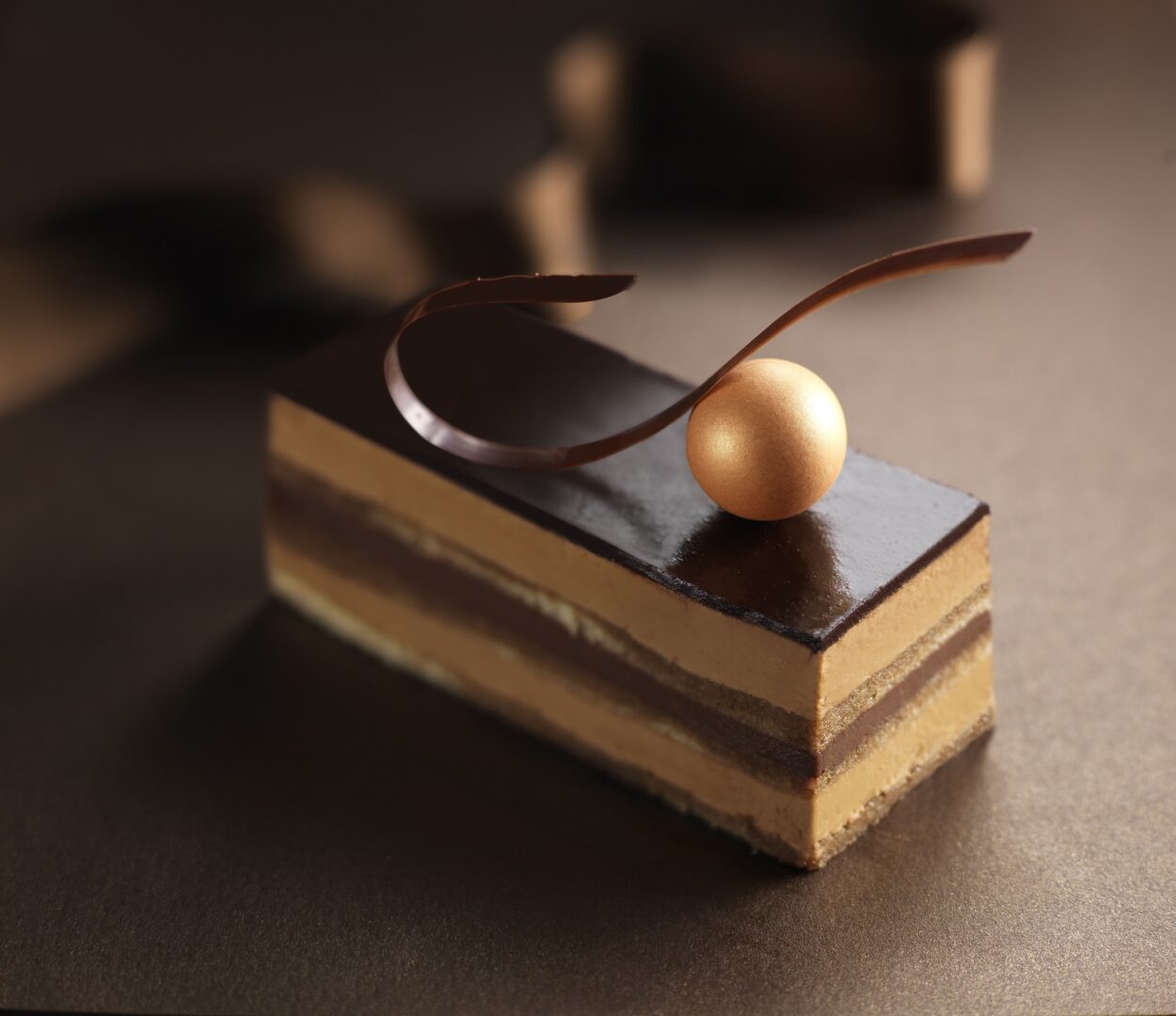 entremet-indiv-opera-2